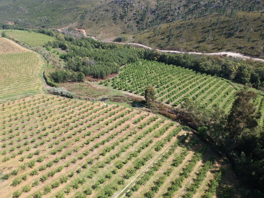 7 Bedroom Property for Sale in Riversdale Rural Western Cape